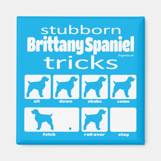 Stubborn Brittany Spanisch Tricks Magnet (Vorne)