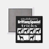 Stubborn Brittany Spanish Tricks Magnet (Vorderseite/Rückseite)