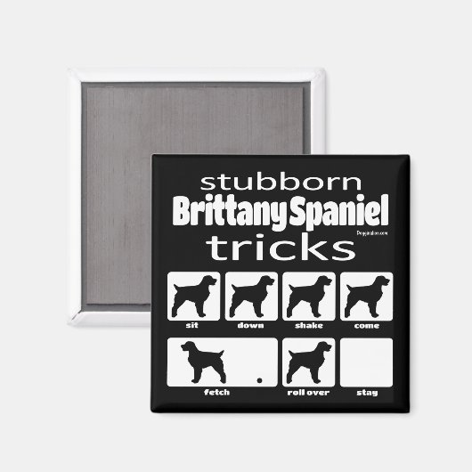 Stubborn Brittany Spanish Tricks Magnet (Vorderseite/Rückseite)