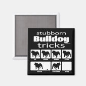 Stubborn Bulldog Tricks Magnet (Vorderseite/Rückseite)