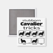 Stubborn Cavalier Tricks Magnet (Vorderseite/Rückseite)