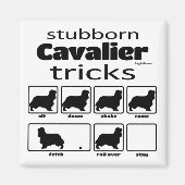 Stubborn Cavalier Tricks Magnet (Vorne)