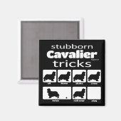Stubborn Cavalier Tricks Magnet (Vorderseite/Rückseite)