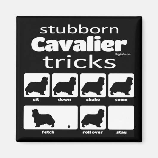 Stubborn Cavalier Tricks Magnet (Vorne)