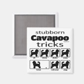 Stubborn Cavapoo Tricks Magnet (Vorderseite/Rückseite)