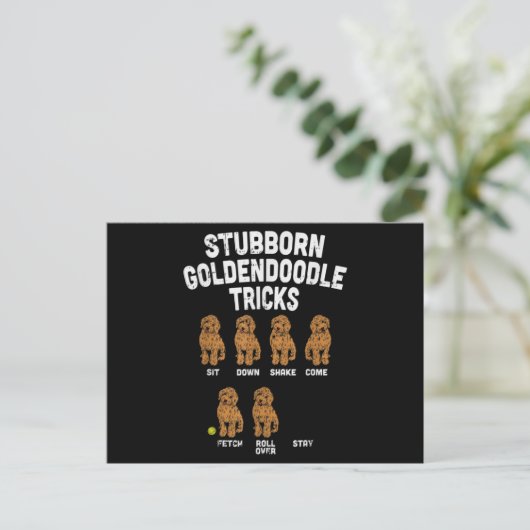 Stubborn Goldendoodle Tricks Funny Dog Trainer Mam Postkarte (Stehend Vorderseite)