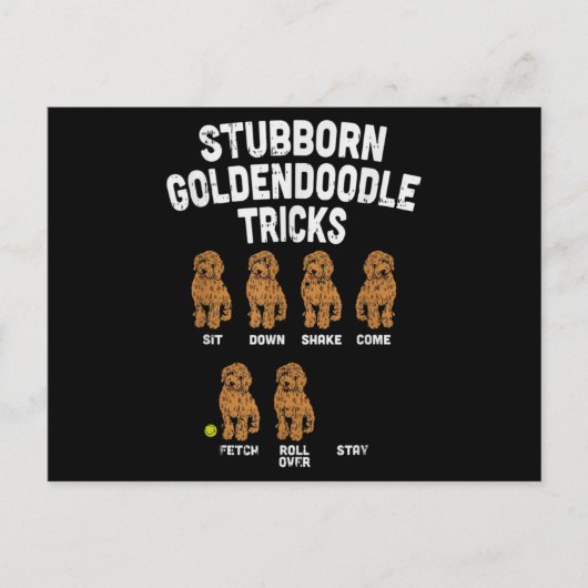 Stubborn Goldendoodle Tricks Funny Dog Trainer Mam Postkarte (Vorderseite)