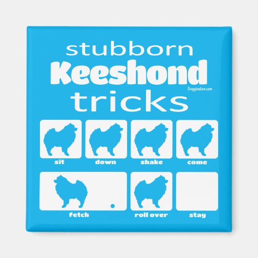 Stubborn Keeshond Tricks Magnet (Vorne)