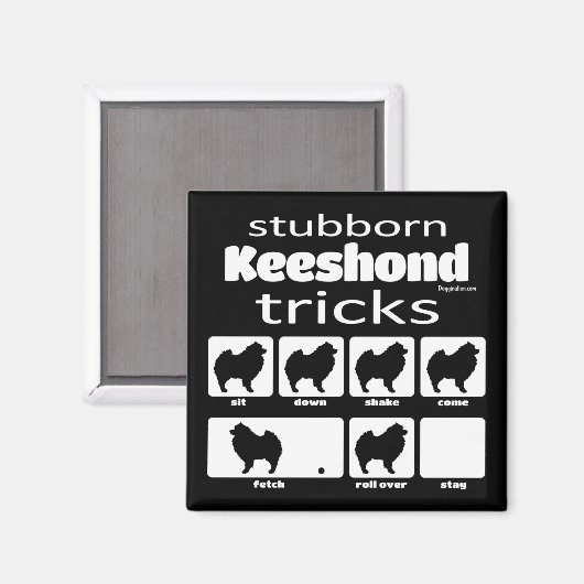 Stubborn Keeshond Tricks Magnet (Vorderseite/Rückseite)