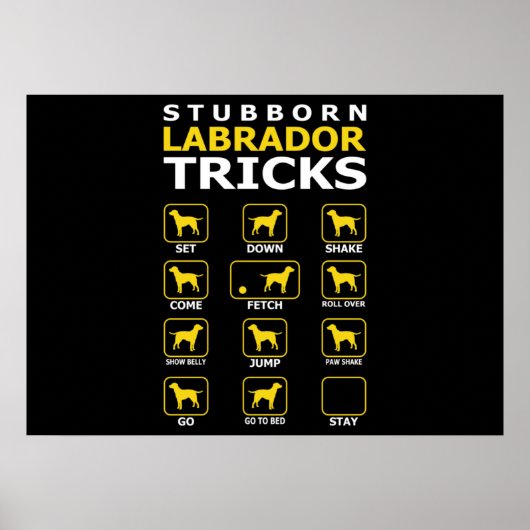 Stubborn Labrador Dog Tricks Funny Poster (Vorne)