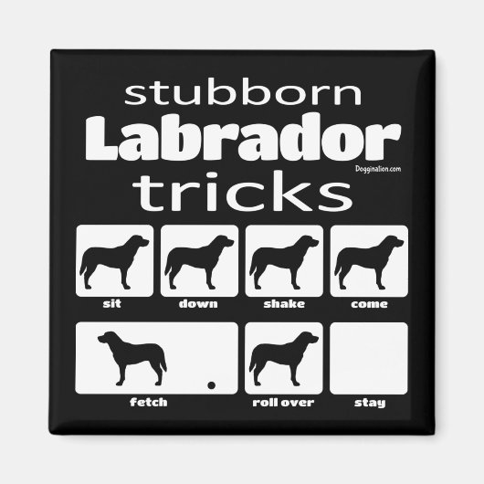 Stubborn Labrador Tricks Magnet (Vorne)