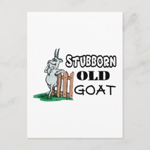 Stubborn Old Goat Postkarte