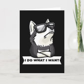 Stubborn Pomsky Dog Funny Karte (Vorderseite)