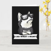 Stubborn Pomsky Dog Funny Karte (Gelbe Blume)