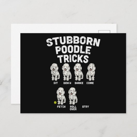 Stubborn Poodle Tricks Funny Dog Lover Eigentümer Postkarte (Vorne/Hinten)