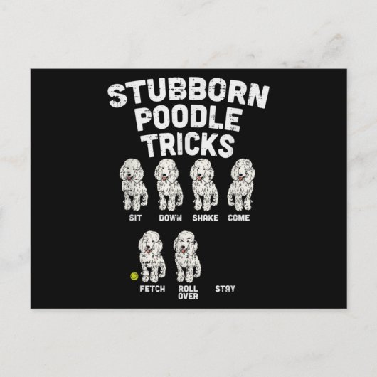 Stubborn Poodle Tricks Funny Dog Lover Eigentümer Postkarte (Vorderseite)