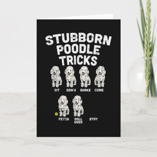 Stubborn Poodle Tricks Funny Dog Lover Owner Karte (Vorderseite)