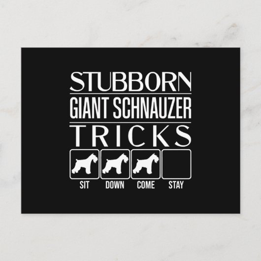 Stubborn, Riesenschnauzer, Funny Giant Schna Postkarte (Vorderseite)