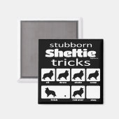 Stubborn Sheltie Tricks Magnet (Vorderseite/Rückseite)