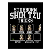 Stubborn Shih Tzu Dog Tricks Poster (Vorderseite)