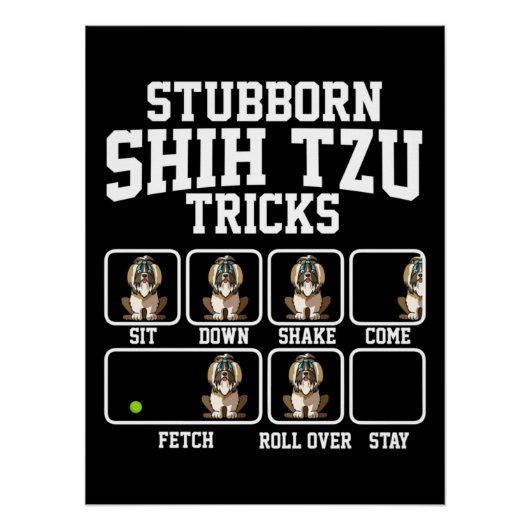 Stubborn Shih Tzu Dog Tricks Poster (Vorderseite)