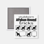 Stubborn-Tricks zum afghanischen Hund Magnet (Vorderseite/Rückseite)