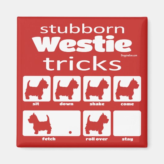 Stubborn Westie Tricks Magnet (Vorne)