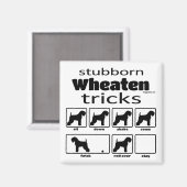 Stubborn Wheaten Tricks Magnet (Vorderseite/Rückseite)