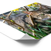 Stubby Poster (Ecke)