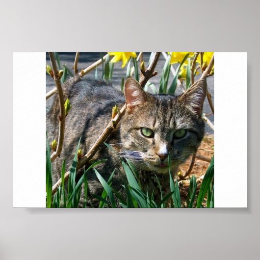 Stubby Poster (Vorne)