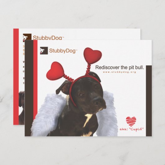 StubbyDog Valentine #2 Feiertagspostkarte (Vorne/Hinten)