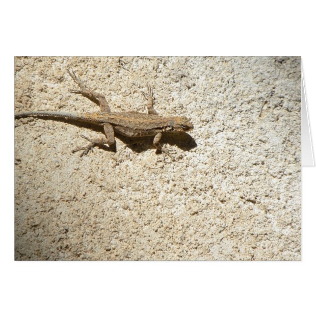 Stucco-lizard-Karte (Vorderseite (Horizontal))