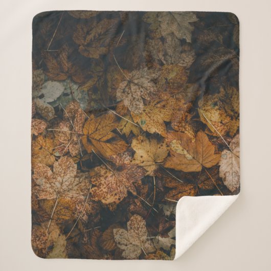 STÜCK DER BROWN MAPLE-BLÄTTER SHERPADECKE (Vorderseite)
