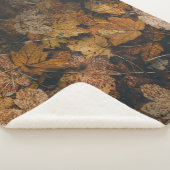 STÜCK DER BROWN MAPLE-BLÄTTER SHERPADECKE (3/4)