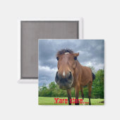 Stuckstartmagnet Magnet (Vorderseite/Rückseite)