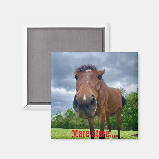 Stuckstartmagnet Magnet (Vorderseite/Rückseite)