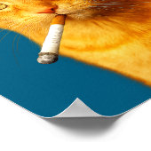 Stud Cool Funny Cat Meme Smoking Cat Cigarette Poster (Ecke)
