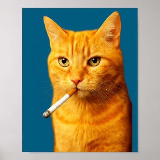 Stud Cool Funny Cat Meme Smoking Cat Cigarette Poster (Vorne)