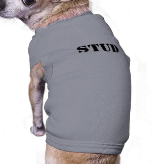 Stud Shirt für Hunde!