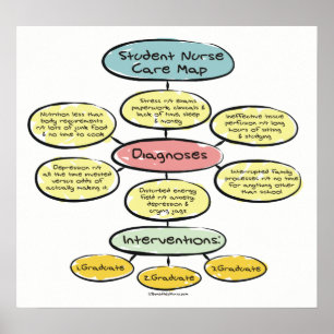 Student Nurse Care Map Poster