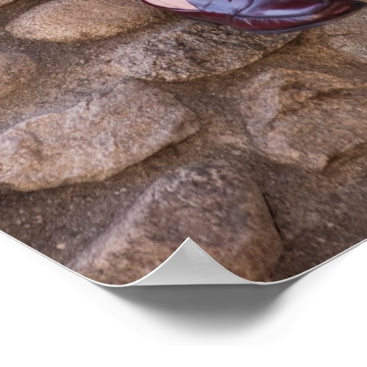 Studentenlesebuch und Sitzen auf der Steinmauer Poster (Ecke)