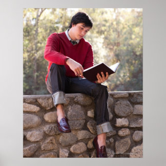 Studentenlesebuch und Sitzen auf der Steinmauer Poster