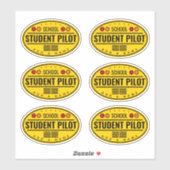 Studentenpilotin mit kundenspezifischen Vinyl-Aufk Aufkleber (Blatt)