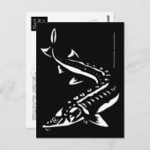 Studie1 Postkarte (Vorne/Hinten)