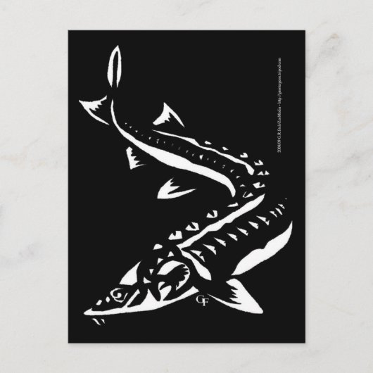 Studie1 Postkarte (Vorderseite)