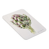 Studie Artichoke 1993 Magnet (Rechte Seite)