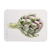 Studie Artichoke 1993 Magnet (Horizontal)