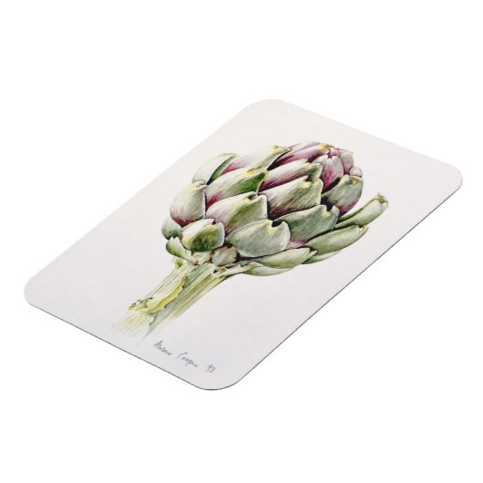 Studie Artichoke 1993 Magnet (Linke Seite)