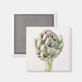 Studie Artichoke 1993 Magnet (Vorderseite/Rückseite)