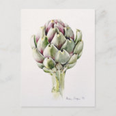Studie Artichoke 1993 Postkarte (Vorderseite)
